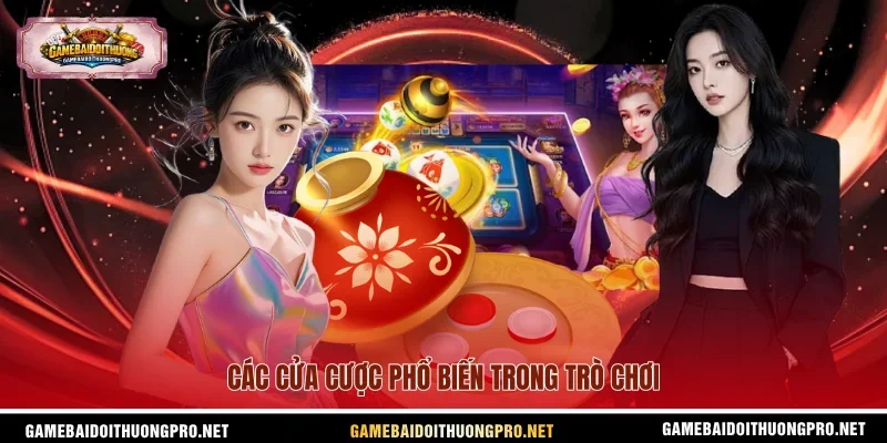 Các cửa cược phổ biến trong trò chơi.