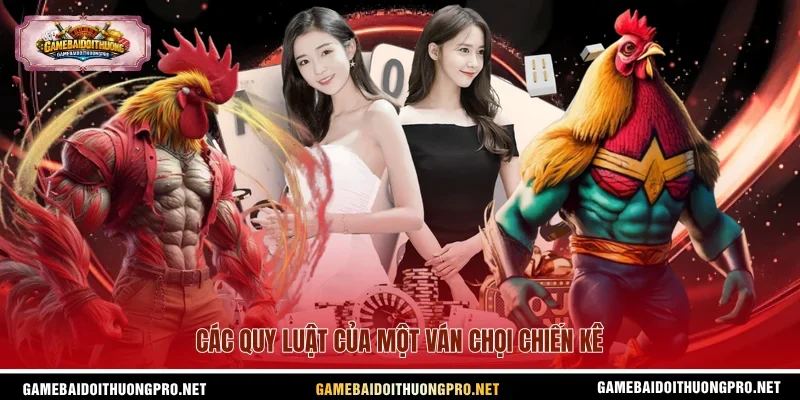 Các quy luật của một ván chọi chiến kê