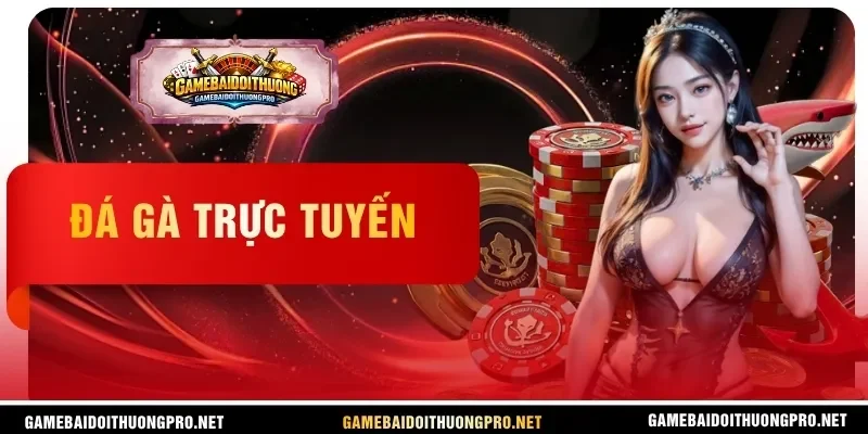 Đá gà trực tuyến