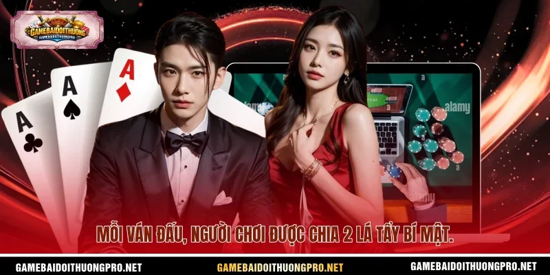 Mỗi ván đấu, người chơi được chia 2 lá tẩy bí mật.