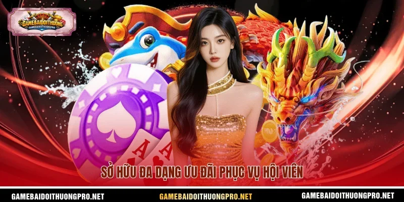 Sở hữu đa dạng ưu đãi phục vụ hội viên